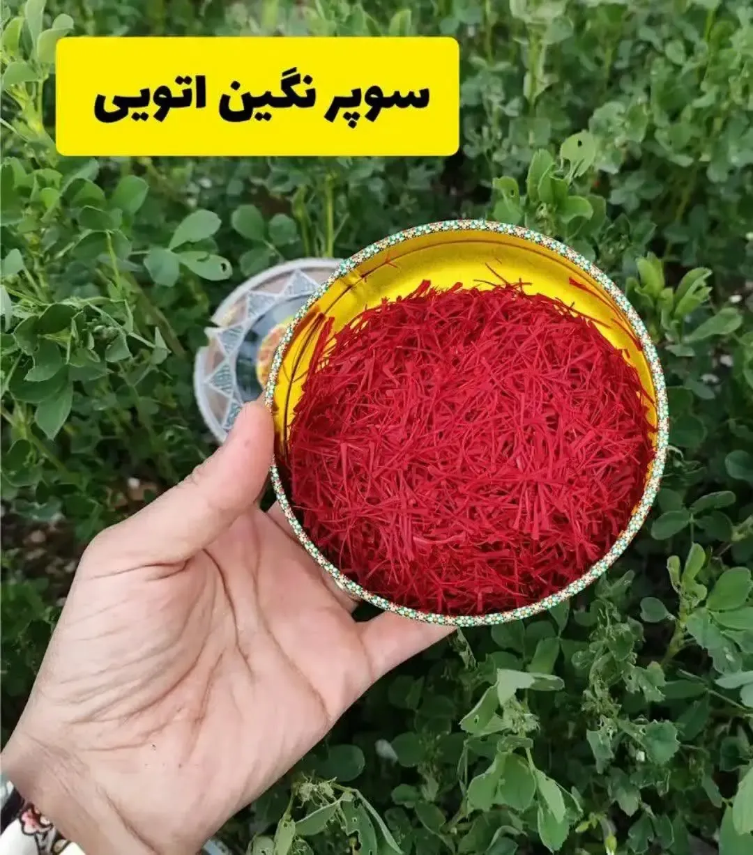 زعفران سوپر نگین اتویی رایشید | زعفران صادراتی درجه یک — ۱ مثقال (۴.۶ گرم)، تصویر ۲